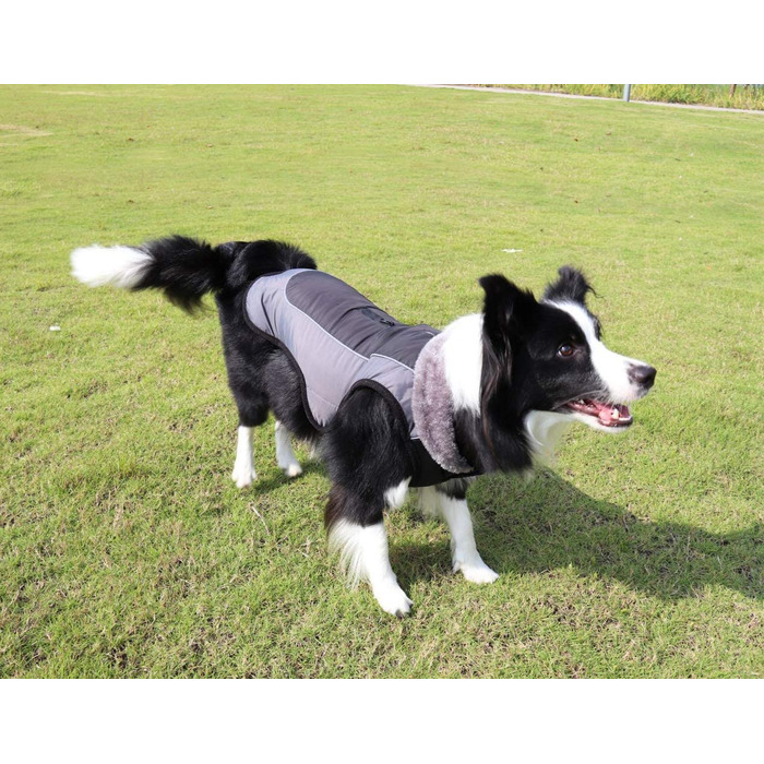 Тепла куртка Idepet для собак, водонепроникний зимовий костюм для домашніх тварин, світловідбиваючий вітрозахисний одяг для маленьких і середніх собак Червоний (L, Чорний)