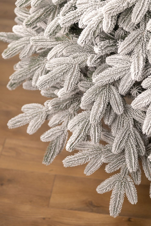 Ялинка лита 'Лапландська' ЗАСНІЖЕНА 2,50м