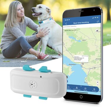 Трекер для собак без підписки з безкоштовним додатком, GPS-шукач з нашийником для собак, водонепроникний IP66 GSM GPRS-трекер (TK911Pro)