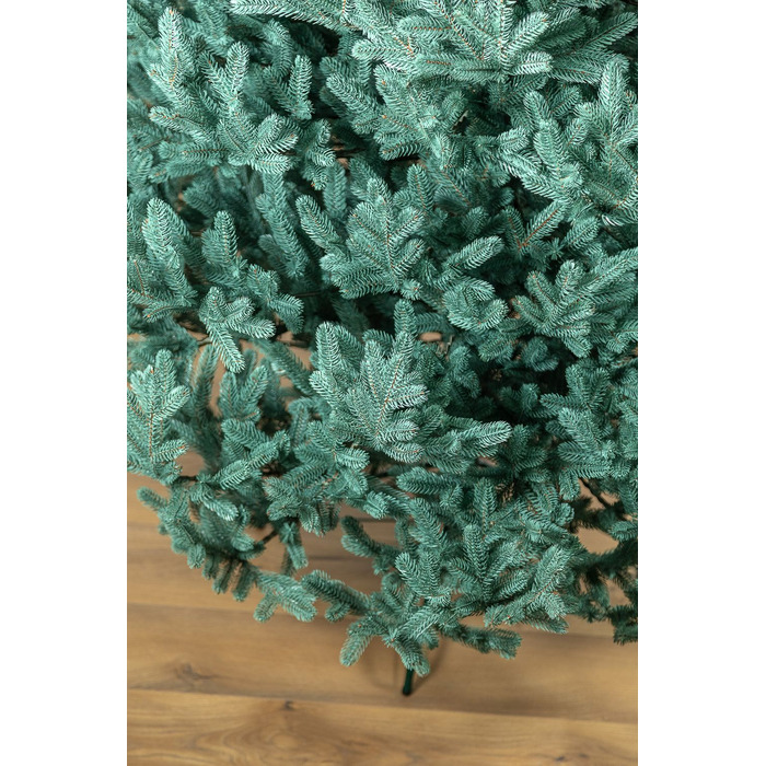 Ялинка лита 'Віденська' Блакитна 3,00м