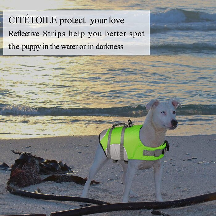 Рятувальний жилет CITTOILE для маленьких собак з ручкою і світловідбиваючим покриттям, рятувальний жилет для собак з регульованим розміром, рятувальний жилет для собак з високою плавучістю, більш дихаючий, легкий для водних видів спорту, зелений, XL XL зе