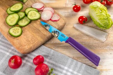 Набір кухонних ножів Kuhn Rikon COLORI®+ 