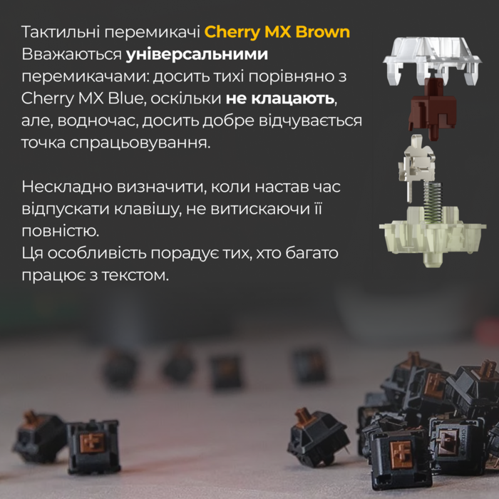 Механічна клавіатура Ducky One 3 Mini Cherry MX Brown RGB Black UA