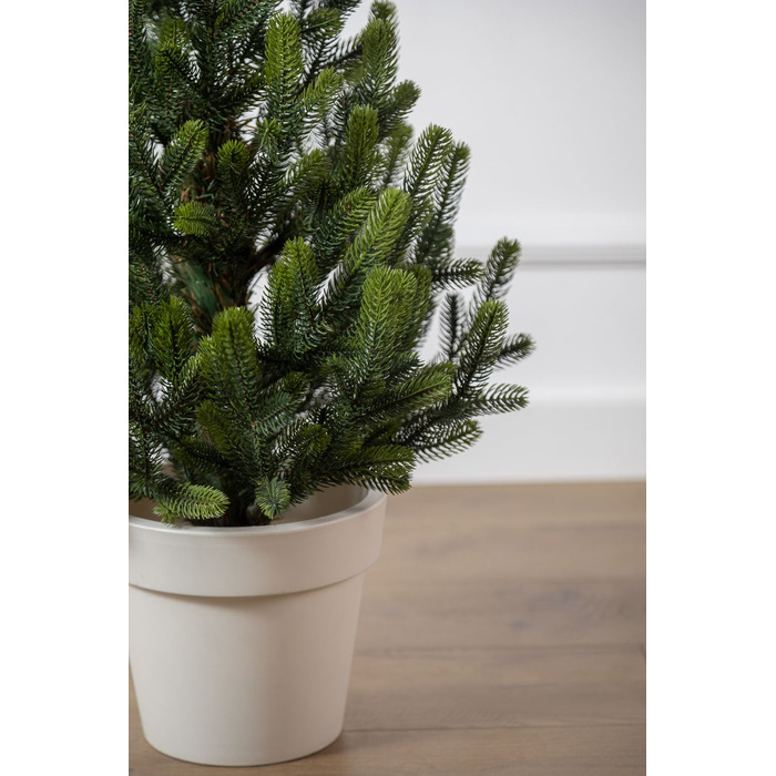 Ялинка лита 'Віденська' в горщику ВЕСНЯНА 0,70м