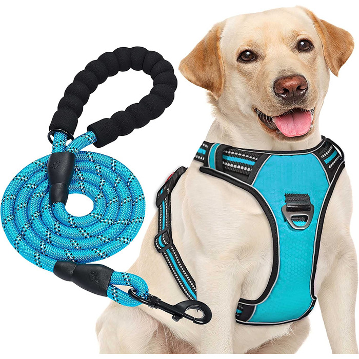 Повідець для собак haapaw без натягу, регульований, світловідбиваючий, Оксфордський, простий в управлінні, повідець для собак середнього розміру з безкоштовним, міцним повідцем М (1 упаковка) синього кольору