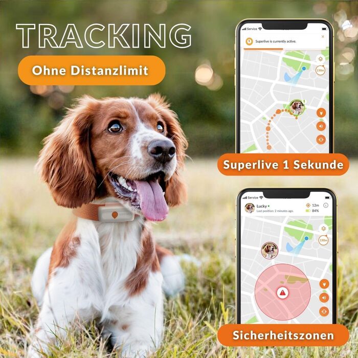 Трекер для собак Weenect XS Відстеження в режимі реального часу Найменший трекер на ринку Підписка Водонепроникний білий