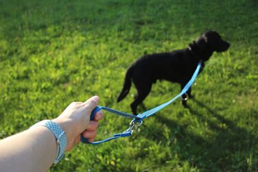 Повідець Activity4Dogs для собак нейлоновий, нековзний нековзний, довгий, з 4-ма регулюваннями, Багатофункціональний, для собак середнього і великого розміру, виготовлений в Німеччині, доступний в декількох кольорах (2,80 м, Синій)