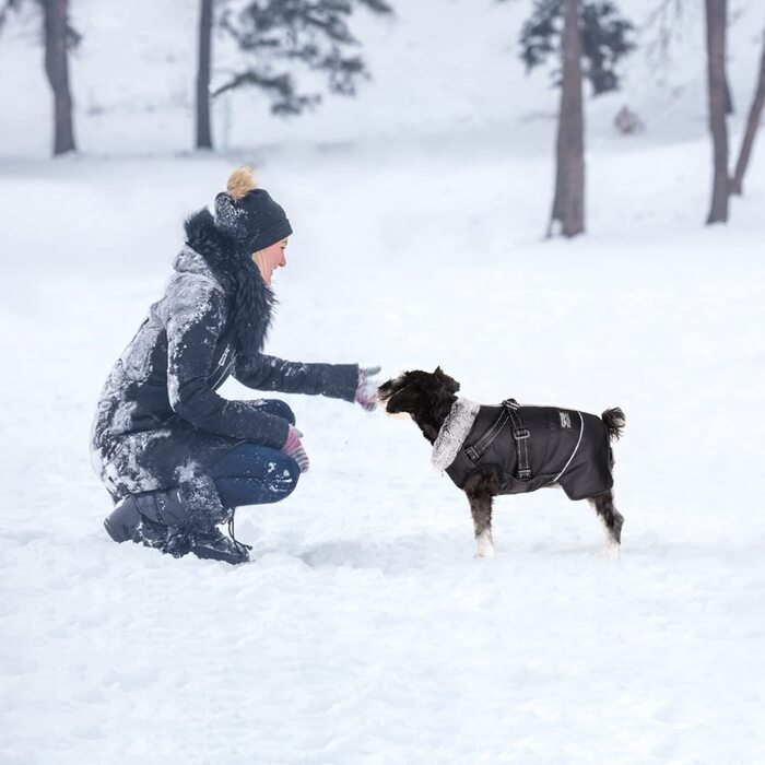 Тепле пальто Oslueidy для собак, зимова куртка для домашніх тварин, світловідбиваючий одяг для маленьких собак, вітрозахисний жилет для цуценят, костюм для собак, сніговий костюм з джгутом для маленьких, середніх, великих собак, бульдога, Тедді, м, Чорний