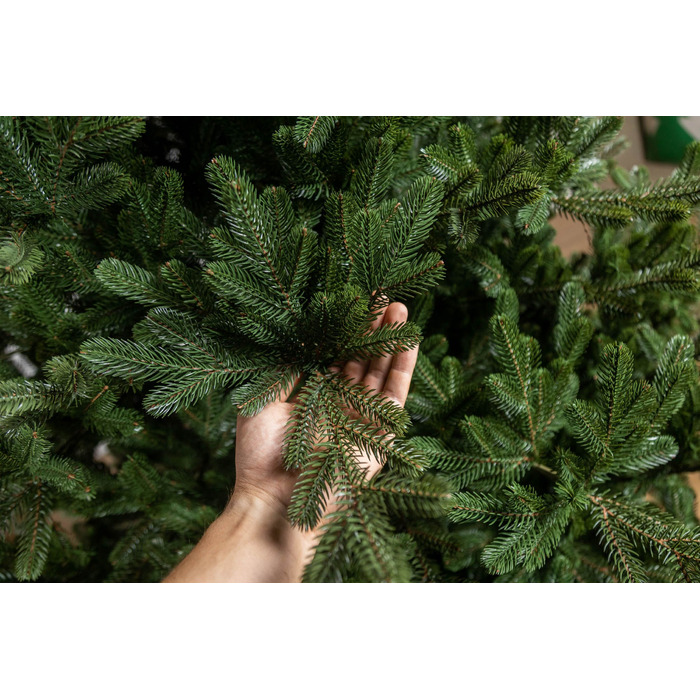 Ялинка лита 'Міланська' ПАРАСОЛЬКА ЗЕЛЕНА 1,80м