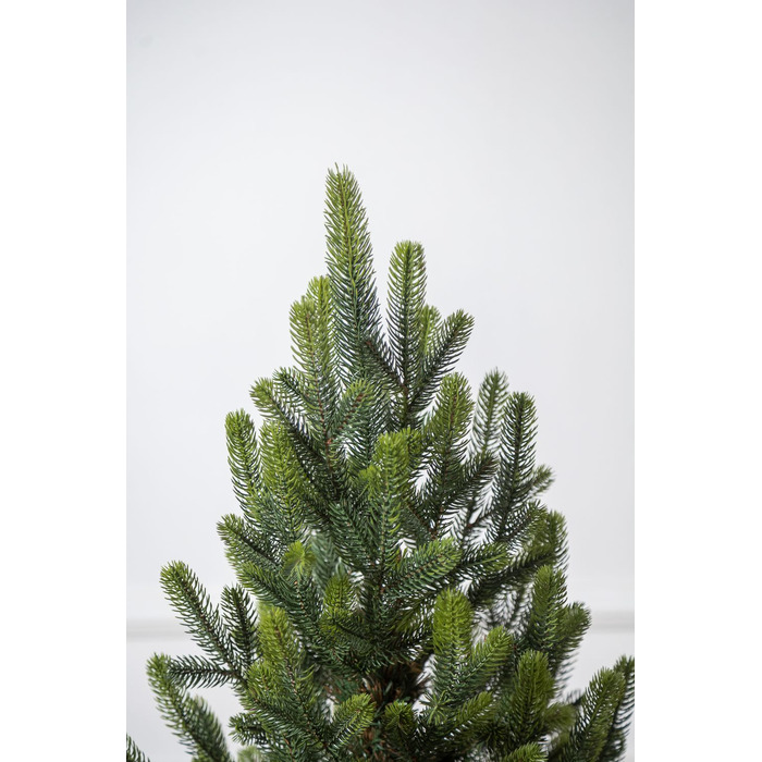 Ялинка лита 'Віденська' в горщику ВЕСНЯНА 0,70м