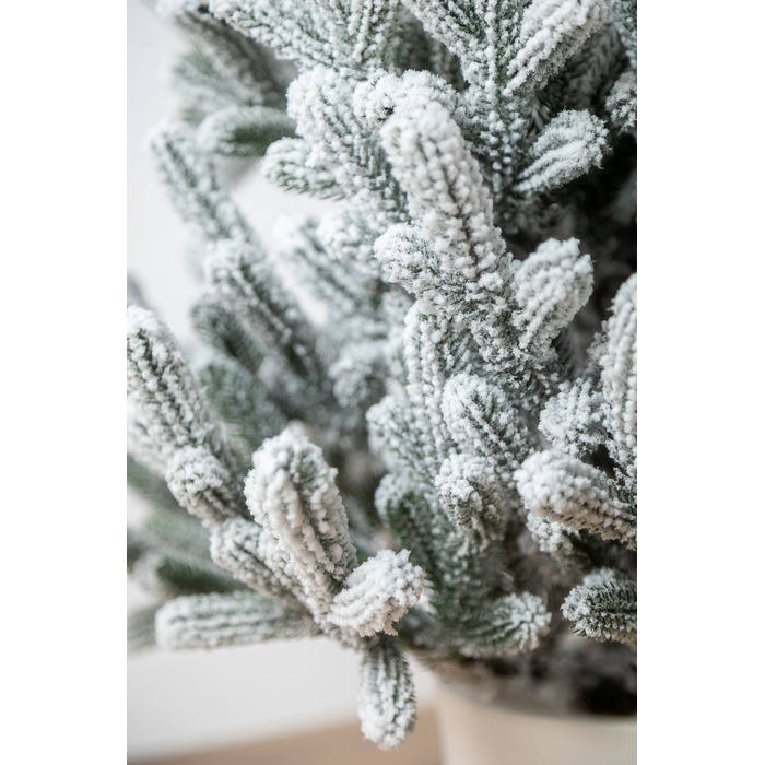 Ялинка лита 'Віденська' в горщику ЗАСНІЖЕНА 1,10м