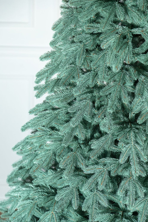 Ялинка лита 'Лапландська' ПАРАСОЛЬКА БЛАКИТНА 2,30м