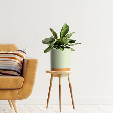 Набір горщиків для квітів 5 шт. з підставками, 17.8/15.2/14/12.7/10.2 см, пластикові, для гідропоніки, внутрішнього та балконного озеленення, зелені з коричневим піддоном