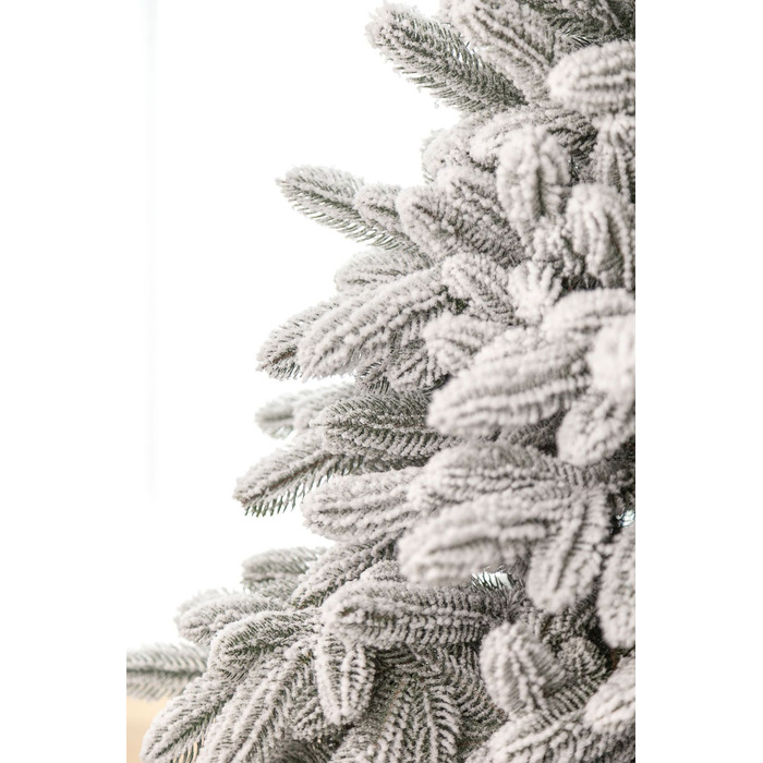 Ялинка лита 'Лапландська' ЗАСНІЖЕНА ПАРАСОЛЬКА 1,50м