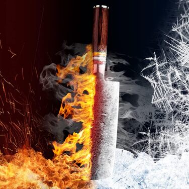 Японський ніж Gyuto FANTECK з дамаської сталі 20 см (67 шарів VG-10) - професійний кухонний ніж з дерев'яною ручкою Pakkawood, подарункова коробка