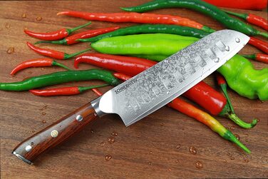 SCHNEIDWERK Santoku ніж з дамаської сталі, кухонний ніж 17.6 см, 67 шарів нержавіючої сталі, кухонний ніж з дамаської сталі, дуже гострий, DI-серія