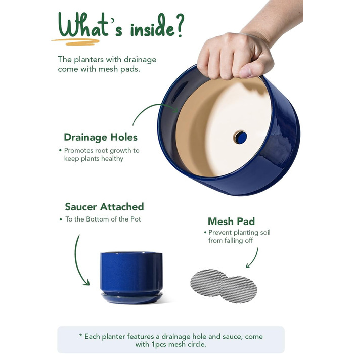 Набір керамічних горщиків LE TAUCI 3 шт. (11, 13, 17 см), горщики для кімнатних рослин з підставкою та дренажним отвором, реактивна глазур (бежевий, сапфіровий блакитний)
