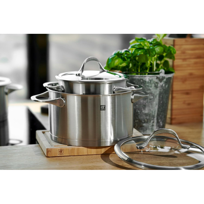Набір каструль ZWILLING Essence 5 предметів з кришкою з термостійкого скла, індукційне дно, не покриті, нержавіюча сталь, сріблясті
