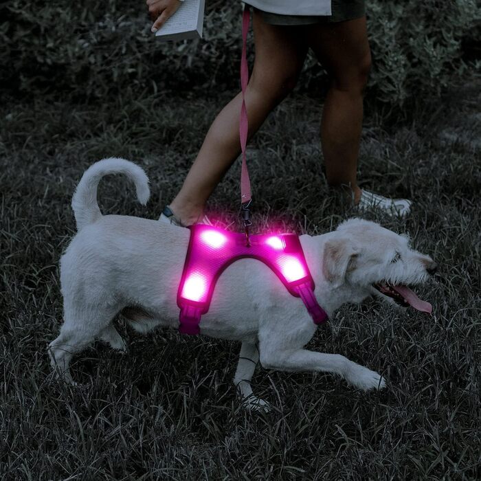 Світлодіодна шлейка для собак YFbrite, заряджається від USB, світловідбиваюча, регульована, дихаюча (рожева, маленька)