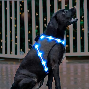 Шлейка для собак Chakit ED, світловідбиваюча шлейка для нічних прогулянок (M, синя)