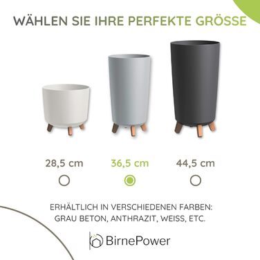 Плантатор BirnePower Gracia Slim 44,5 см – сучасний горщик для квітів з ніжками, бетонної текстури, стійкий до УФ-випромінювання та погодних умов, елегантний кашпо для балкона, саду, інтер'єру – антрацит (висота 36,5 см, теракота, бетон)