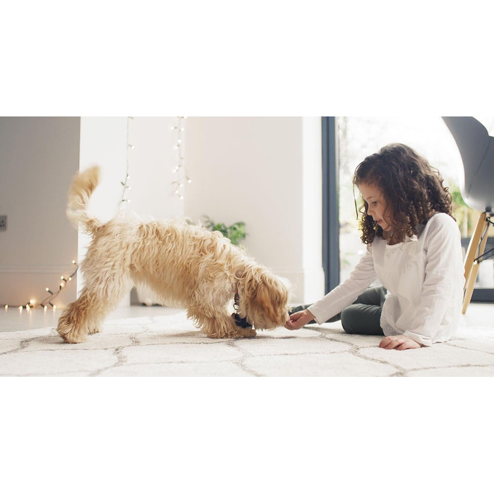 BISSELL SpotClean ProHeat: професійний мийник для килимів та м'яких меблів з HeatWave технологією, 330W, 36988