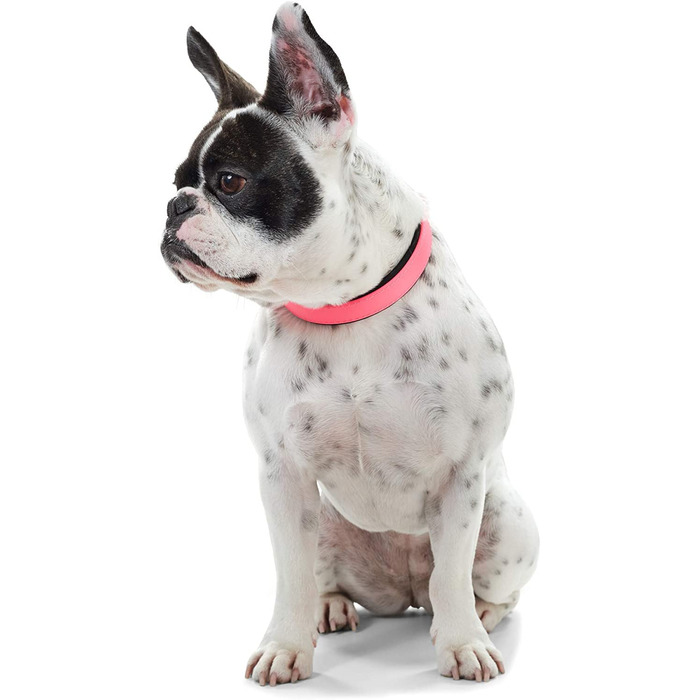 Зручний нашийник для собак Hunter COMFORT, пластиковий, неопреновий, 50 м, неоново-рожевий, неоново-рожевий, 50 м