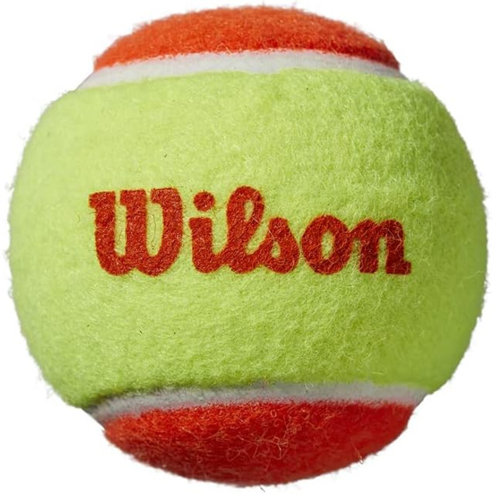 Тенісна ракетка Вілсона на Ролан Гаррос Еліт молодший, для дітей, алюміній (21)