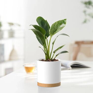 Набір горщиків для квітів з підставкою (5 шт.), 17.8/15.2/14/12.7/10.2 см, пластик, для дому та балкона, зелений з коричневим підставкою