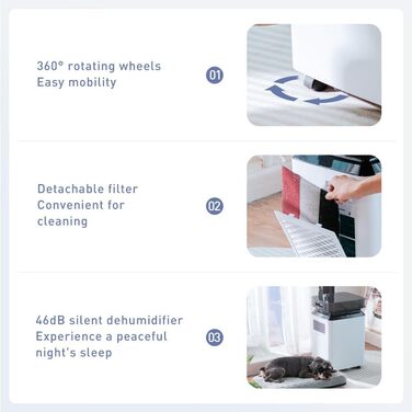 Електричний осушувач повітря Kalopsia: 50 л/день для підвалу та квартири - резервуар 8 л, 120 м², 46 дБ, автоматичне осушення, зливний насос та таймер 24 години, чорний