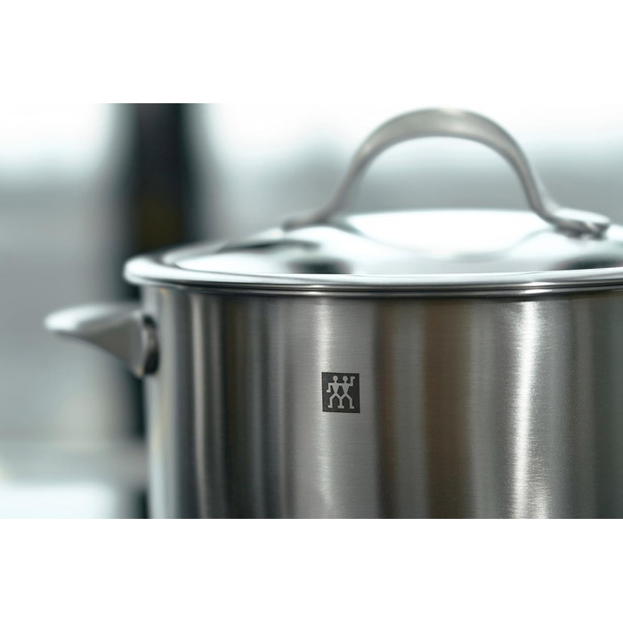 Набір каструль ZWILLING Essence 5 предметів з кришкою з термостійкого скла, індукційне дно, не покриті, нержавіюча сталь, сріблясті