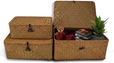 Плетений кошик для зберігання з ротанга Esoe, ящик для зберігання з кришкою, водорості, кошики для білизни, органайзер для макіяжу для ванної кімнати