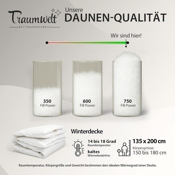 Німецька пухова ковдра 135x200 см, 90% пух, 10% перо, для всіх сезонів, гіпоалергенна, сертифікат Öko-Tex 100, Downpass