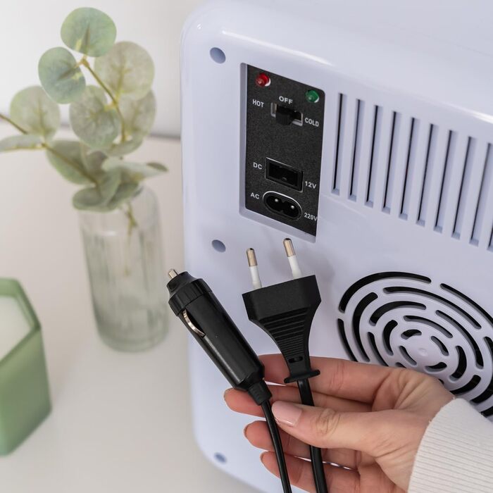 Міні холодильник Flamingueo 10 л, 12V/220V, охолодження і нагрівання, компактний настільний холодильник для напоїв та їжі