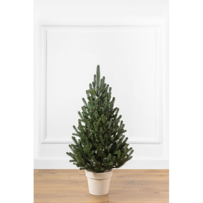 Ялинка лита 'Віденська' в горщику зелена 0,90м