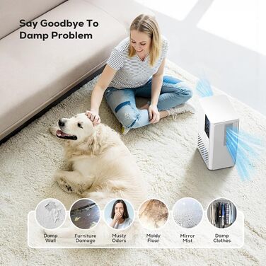 Електричний осушувач повітря 2500 мл з автовимкненням та розморожуванням, 7 кольорів підсвічування, тихий осушувач для дому, портативний, білий