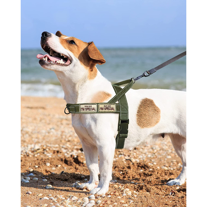 Упряж для собак Eeyfarog No PU для собак середнього розміру, стійка до викидів, що розкладається без натягу, упряж для собак (s, зеленого кольору)