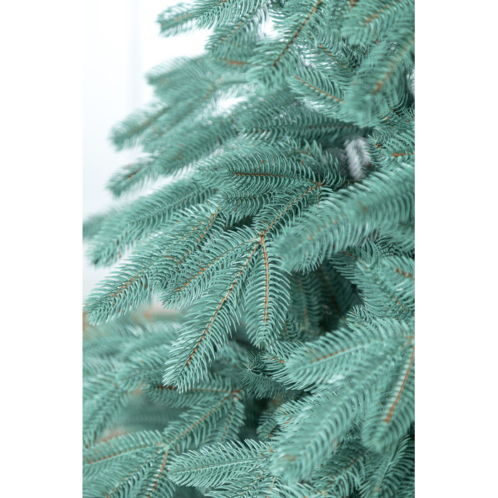 Ялинка лита 'Лапландська' ПАРАСОЛЬКА БЛАКИТНА 2,30м