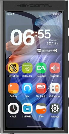 Цифровий аудіоплеєр HiBy M300 з вбудованим динаміком, Android 13, Bluetooth, Wi-Fi, FM-радіо, підтримка PCM768k, DSD256, 32 ГБ, чорний