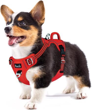 Шлейка для собак Eyein (M, червона) - протизатяжна, світловідбиваюча, дихаюча