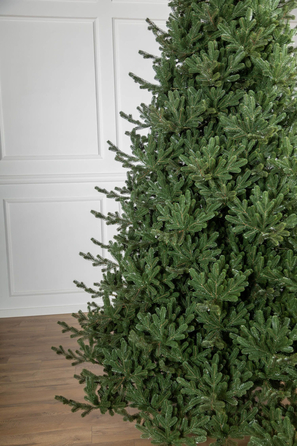 Ялинка лита 'Міланська' ПАРАСОЛЬКА ЗЕЛЕНА 2,10м