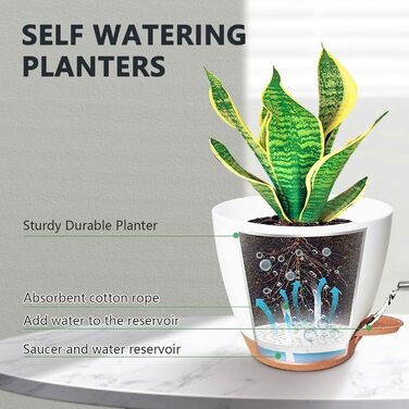 5 кашпо з пластику з системою поливу, 17.8/16.5/15.2/13.9/12.7 см. Самополивні горщики з підставкою, круглі, для квітів, сукулентів, кактусів, для дому, балкону, саду. Білий, коричневий колір