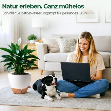 Набір 4 самополивні горщики для квітів T4U з індикатором рівня води, легкі у догляді, великі (25 см, білі)