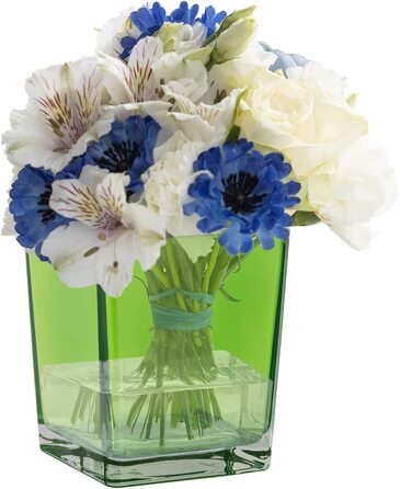 Тренд для дому ваза для квітів скло для рослин тераріум для пляшок сад для прикраси приміщень квітковий горщик / можна мити в посудомийній машині / Колекція фіолетовий / ємність 820 мл (зелений)