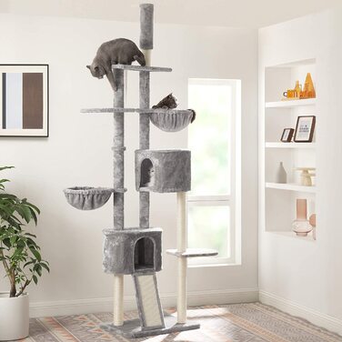 Котяче дерево ФЕАНДРЕА, котяче дерево, висотою до стелі, 2,4-2,6 м, світло-сіре PCT110W01