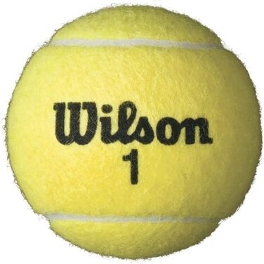 Тенісні м'ячі Wilson Championship All Court - 72 тенісних м'ячі картонна коробка з 18 банками для тенісних м'ячів з 4 тенісними м'ячами Wilson - набір для гравців і тренерів з тенісу, подарунки для тенісу, аксесуари для тенісу