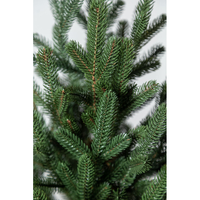 Ялинка лита 'Віденська' в горщику зелена 0,90м