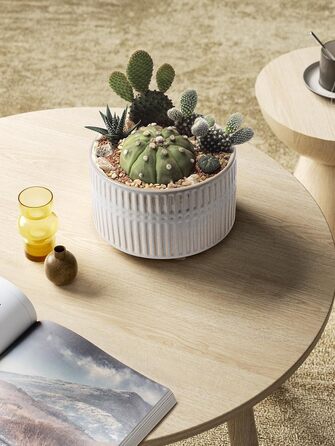 Набір горщиків для сукулентів LE TAUCI, 16,5+20 см, кераміка, з дренажними отворами, сучасний циліндричний дизайн, 2 шт. (білий зірка)