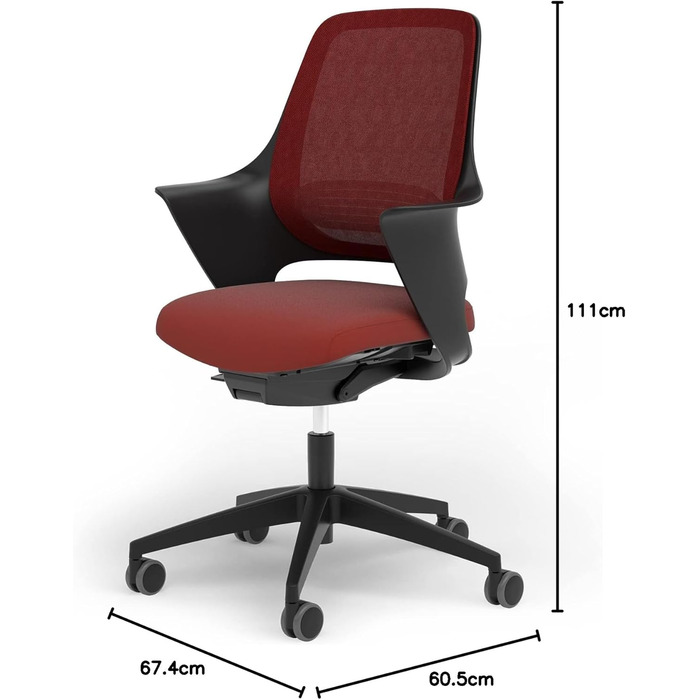 Ergotopia WellBack: Ергономічне крісло для офісу та дому, Made in Germany, з підтримкою попереку та синхромеханікою, білий каркас, сірий колір