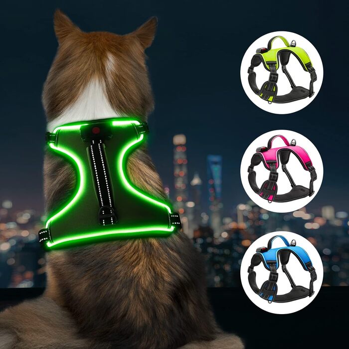 Світлодіодна шлейка для собак YFbrite, що перезаряджається, світловідбиваюча, зручна, дихаюча (Roa, маленька) (V2.0 Зелена, велика)